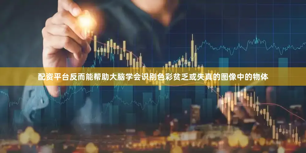 配资平台反而能帮助大脑学会识别色彩贫乏或失真的图像中的物体
