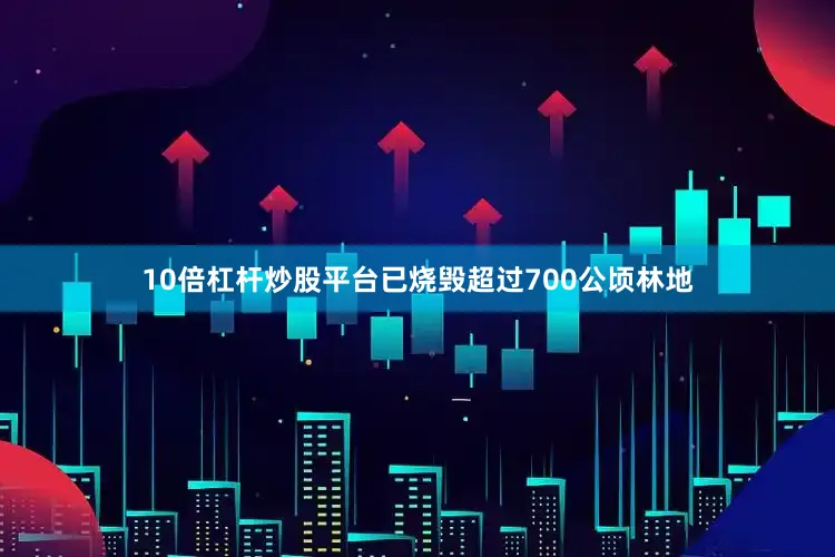 10倍杠杆炒股平台已烧毁超过700公顷林地