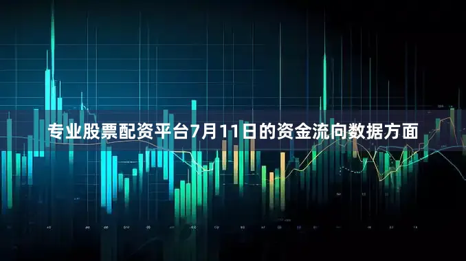 专业股票配资平台7月11日的资金流向数据方面