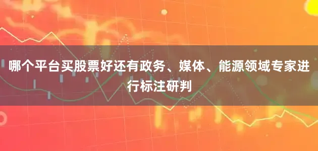 哪个平台买股票好还有政务、媒体、能源领域专家进行标注研判