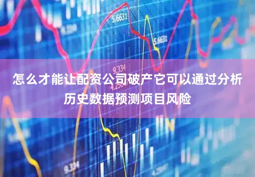 怎么才能让配资公司破产它可以通过分析历史数据预测项目风险