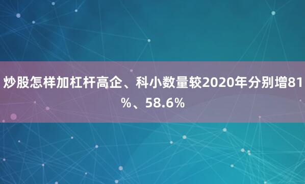 炒股怎样加杠杆高企、科小数量较2020年分别增81%、58.6%
